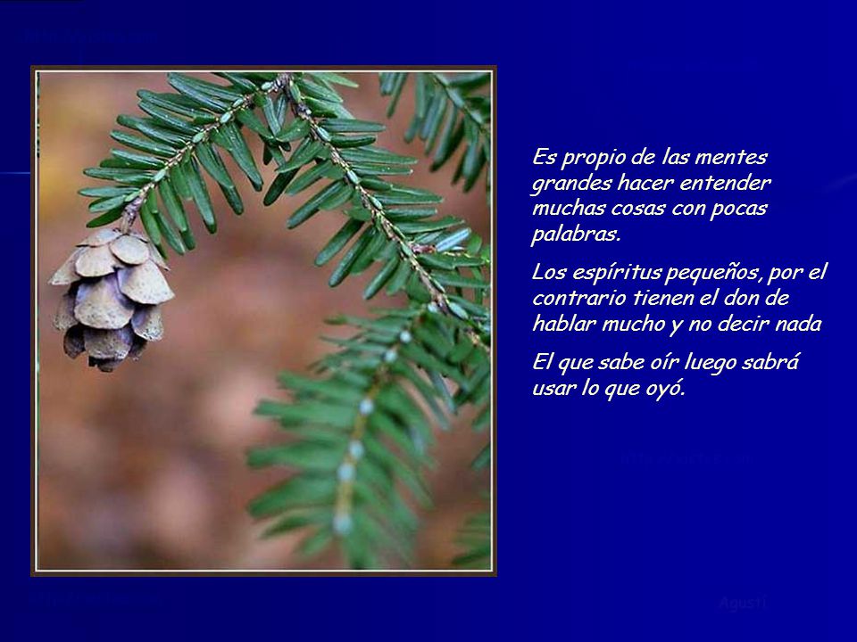 Es propio de las mentes grandes hacer entender muchas cosas con pocas palabras.