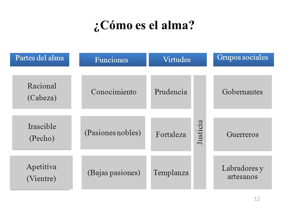 ¿Cómo es el alma Razonamiento matemático Grupos sociales