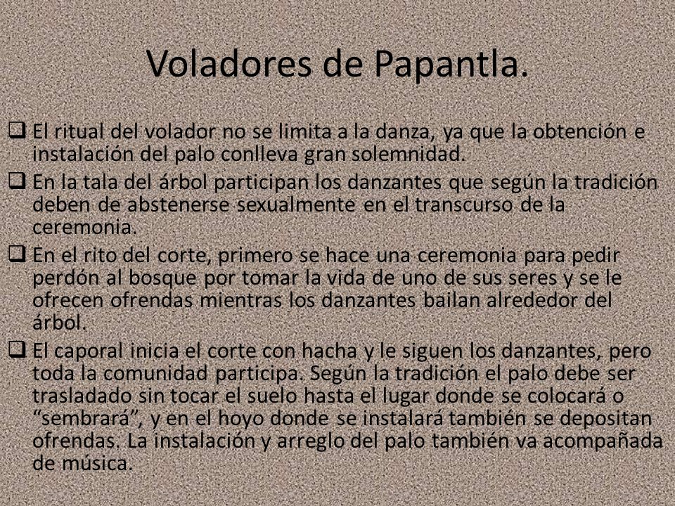 Voladores de Papantla. El ritual del volador no se limita a la danza, ya que la obtención e instalación del palo conlleva gran solemnidad.