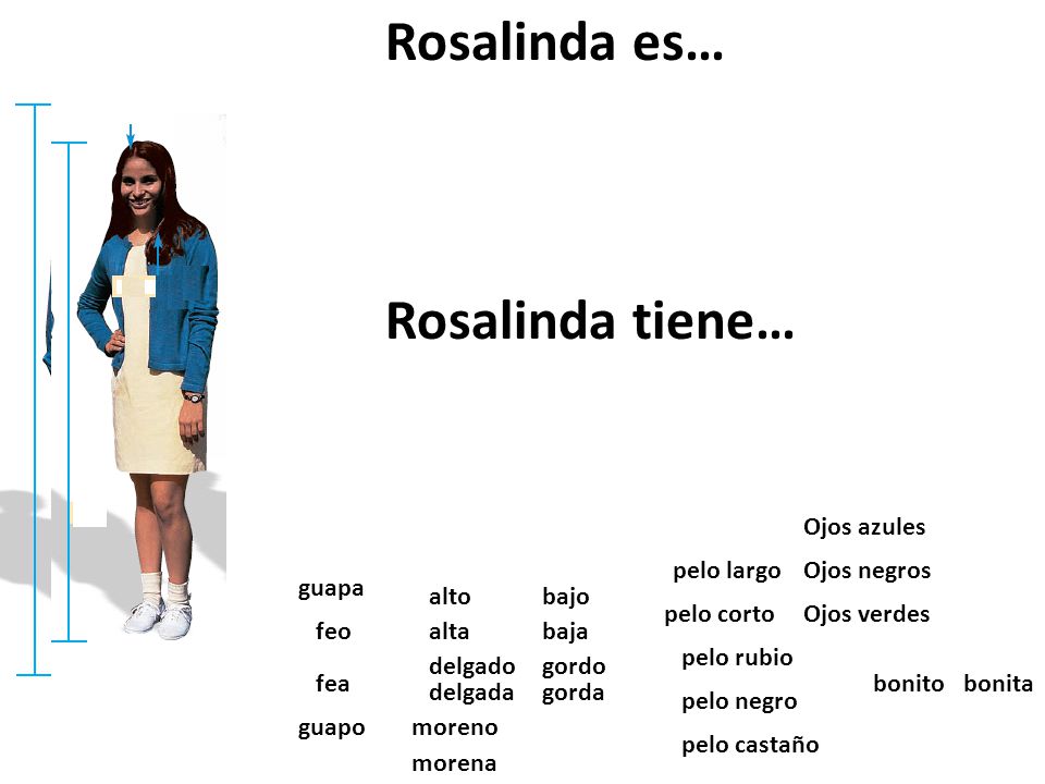 Rosalinda es… Rosalinda tiene… Ojos azules pelo largo Ojos negros