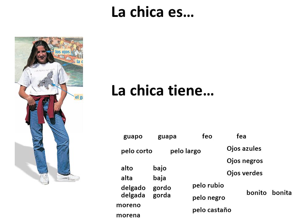 La chica es… La chica tiene… guapo guapa feo fea Ojos azules