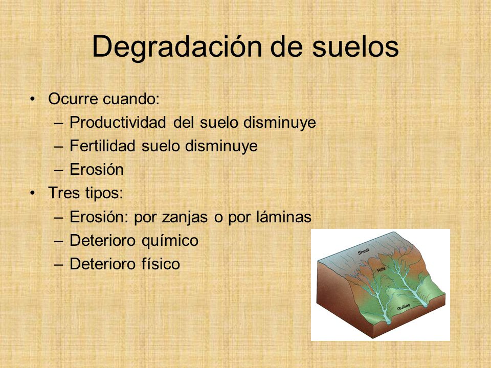Degradación de suelos Ocurre cuando: Productividad del suelo disminuye