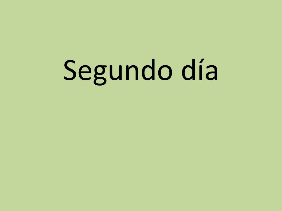 Segundo día