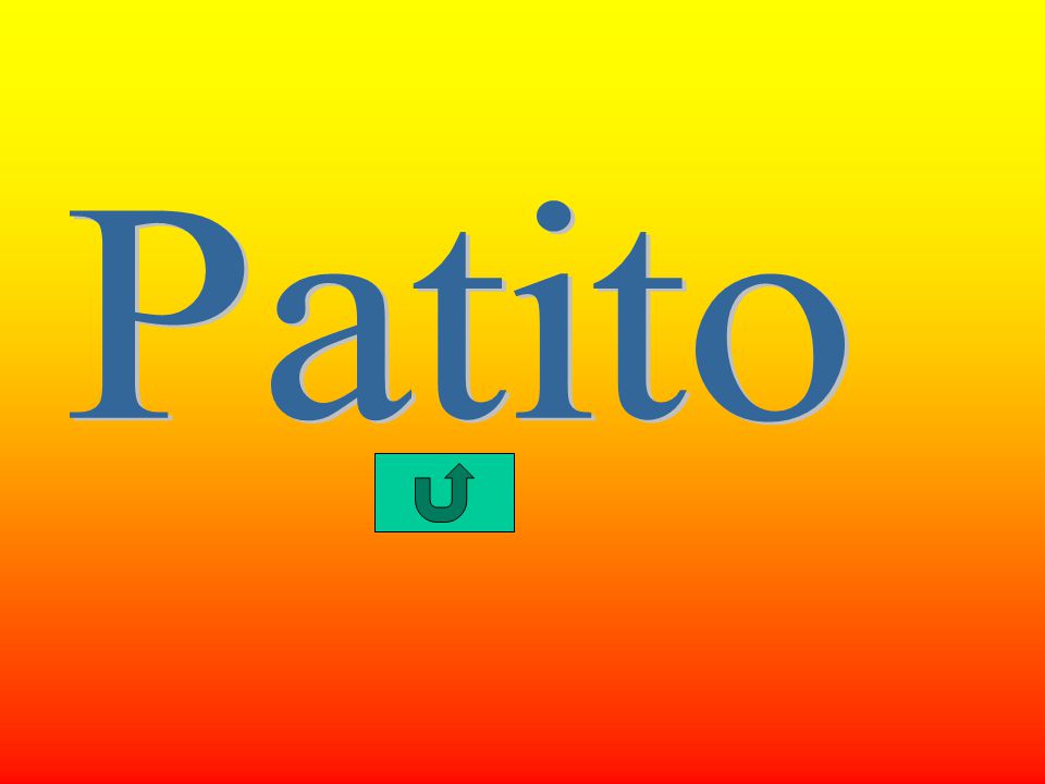 Patito
