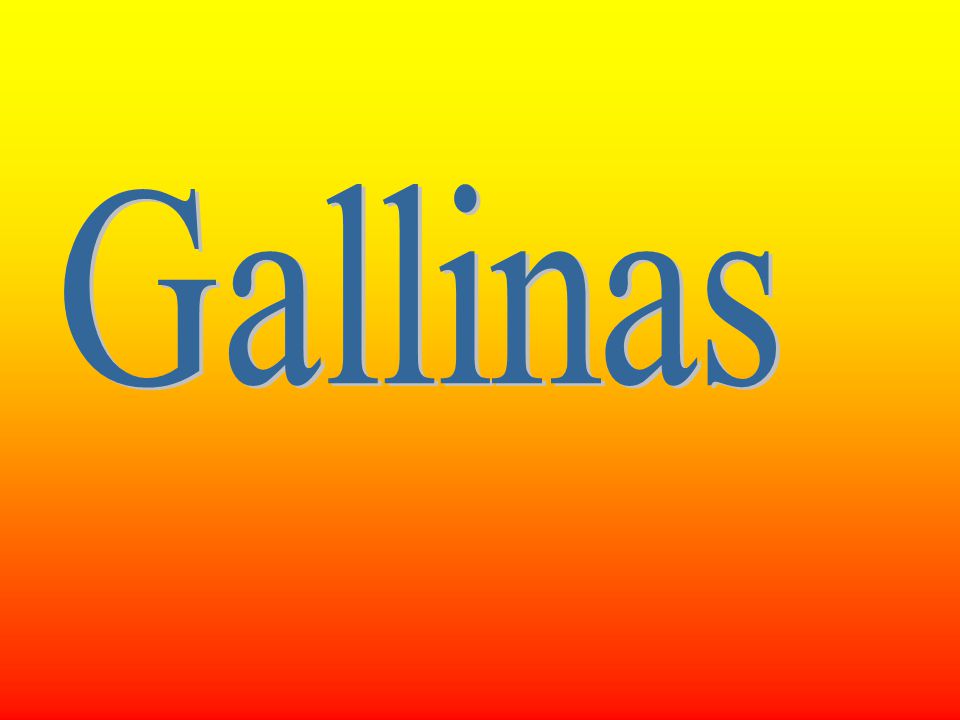 Gallinas