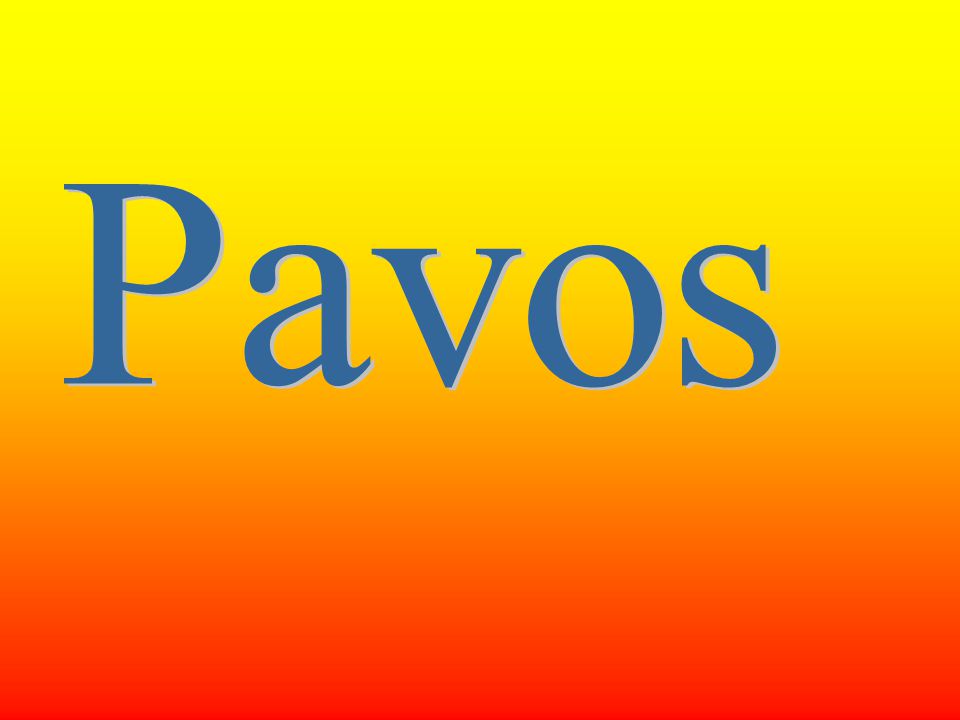 Pavos