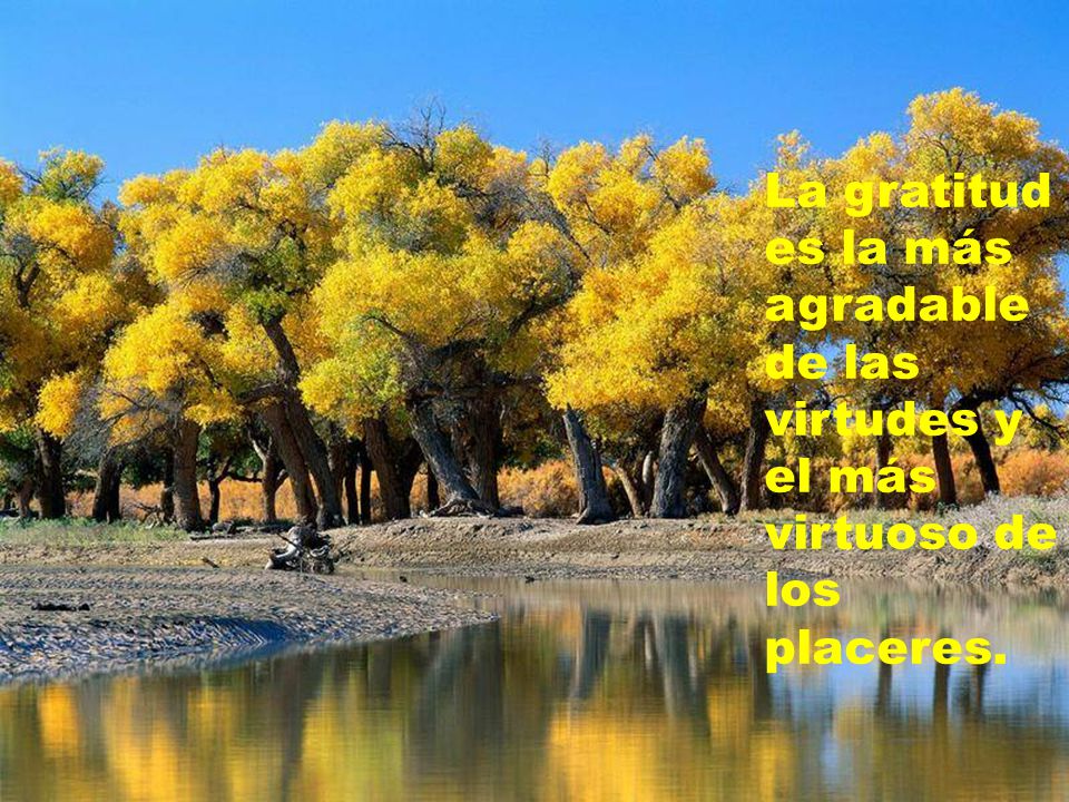 La gratitud es la más agradable de las virtudes y el más virtuoso de los placeres.
