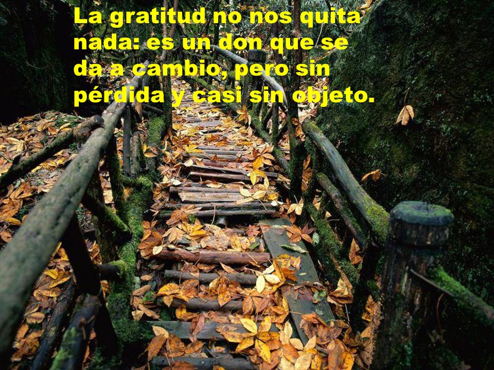 La gratitud no nos quita nada: es un don que se da a cambio, pero sin pérdida y casi sin objeto.