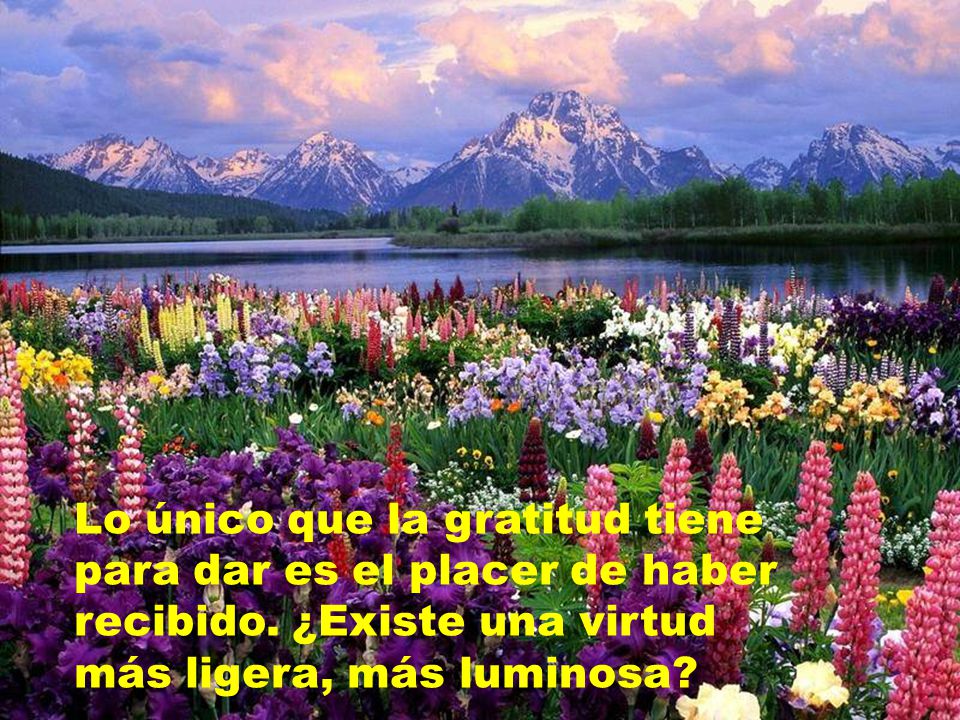 Lo único que la gratitud tiene para dar es el placer de haber recibido