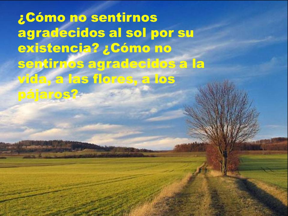 ¿Cómo no sentirnos agradecidos al sol por su existencia