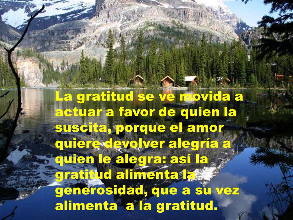 La gratitud se ve movida a actuar a favor de quien la suscita, porque el amor quiere devolver alegría a quien le alegra: así la gratitud alimenta la generosidad, que a su vez alimenta a la gratitud.