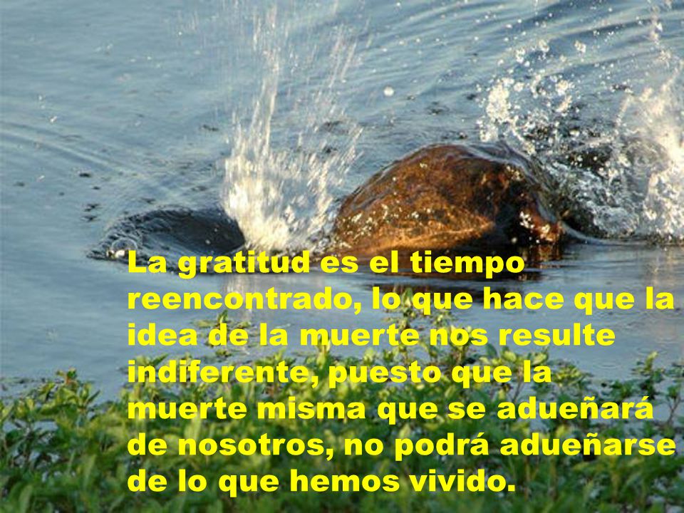 La gratitud es el tiempo reencontrado, lo que hace que la idea de la muerte nos resulte indiferente, puesto que la muerte misma que se adueñará de nosotros, no podrá adueñarse de lo que hemos vivido.