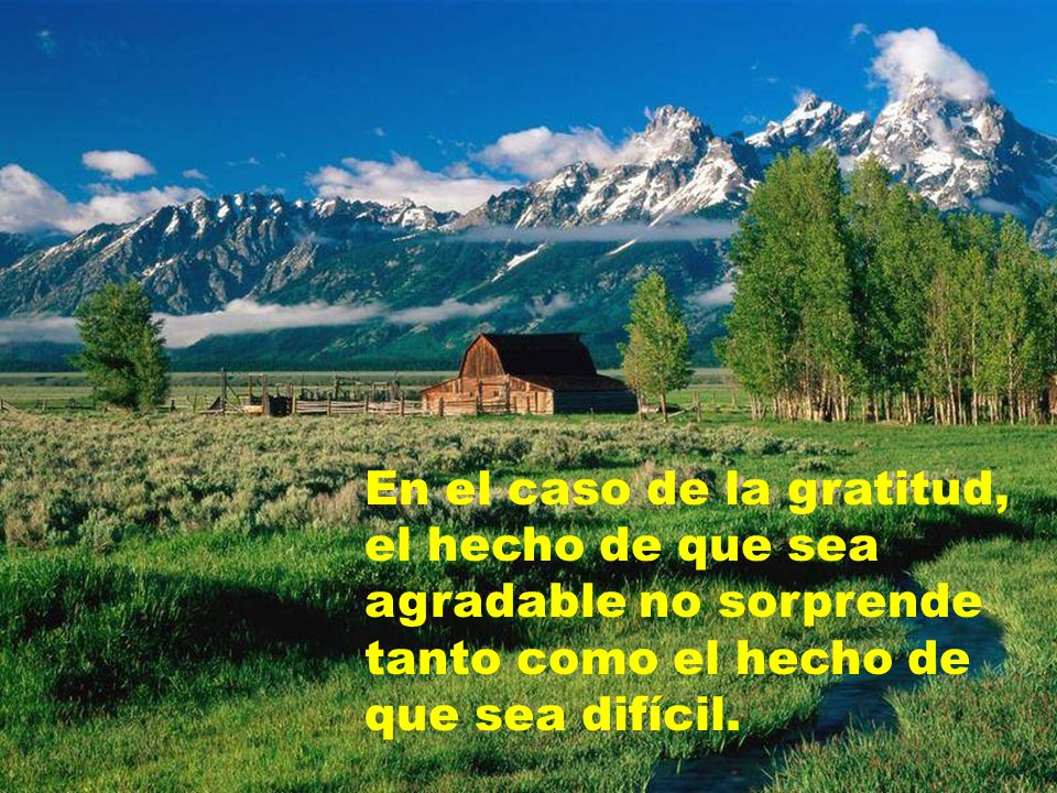 En el caso de la gratitud, el hecho de que sea agradable no sorprende tanto como el hecho de que sea difícil.