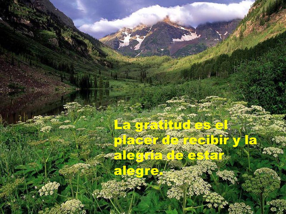 La gratitud es el placer de recibir y la alegría de estar alegre.