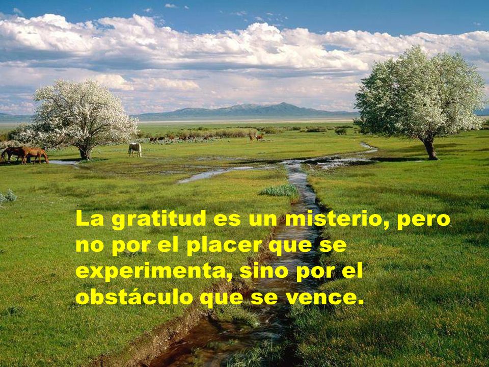 La gratitud es un misterio, pero no por el placer que se experimenta, sino por el obstáculo que se vence.