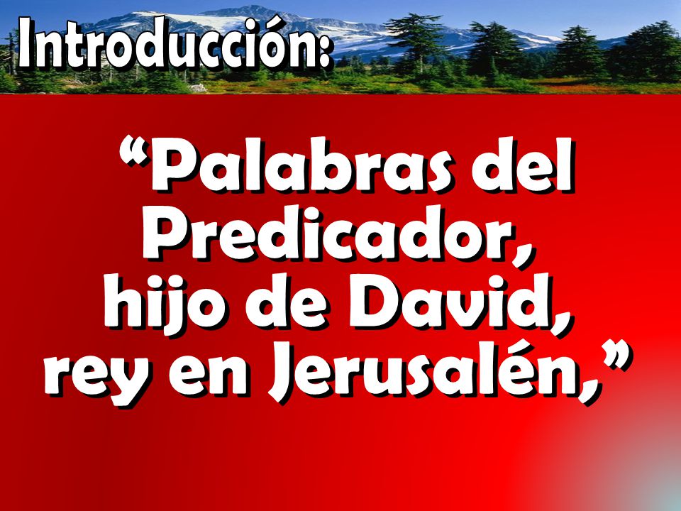 Palabras del Predicador, hijo de David, rey en Jerusalén,
