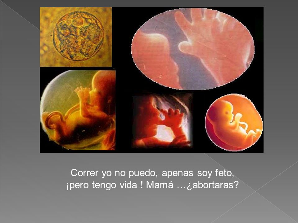 Correr yo no puedo, apenas soy feto,