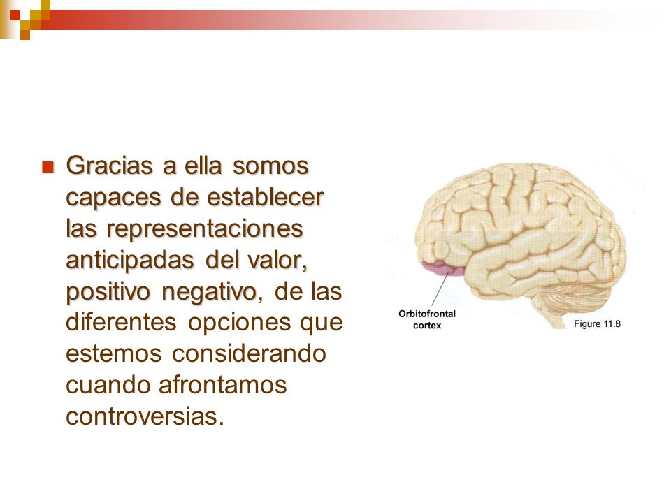 Gracias a ella somos capaces de establecer las representaciones anticipadas del valor, positivo negativo, de las diferentes opciones que estemos considerando cuando afrontamos controversias.