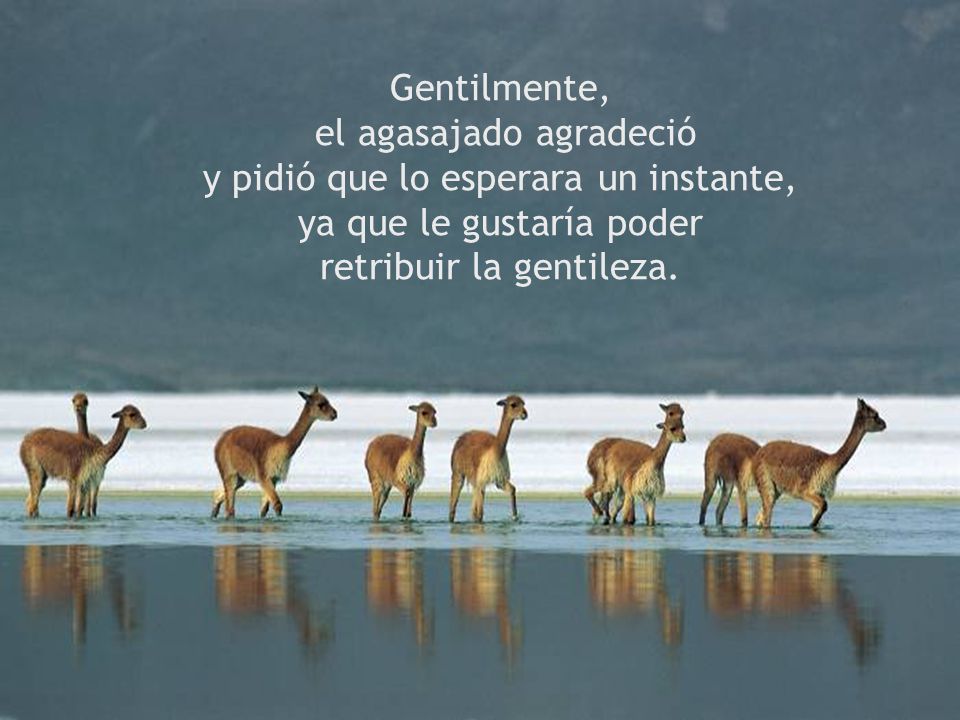 Gentilmente, el agasajado agradeció y pidió que lo esperara un instante, ya que le gustaría poder retribuir la gentileza.