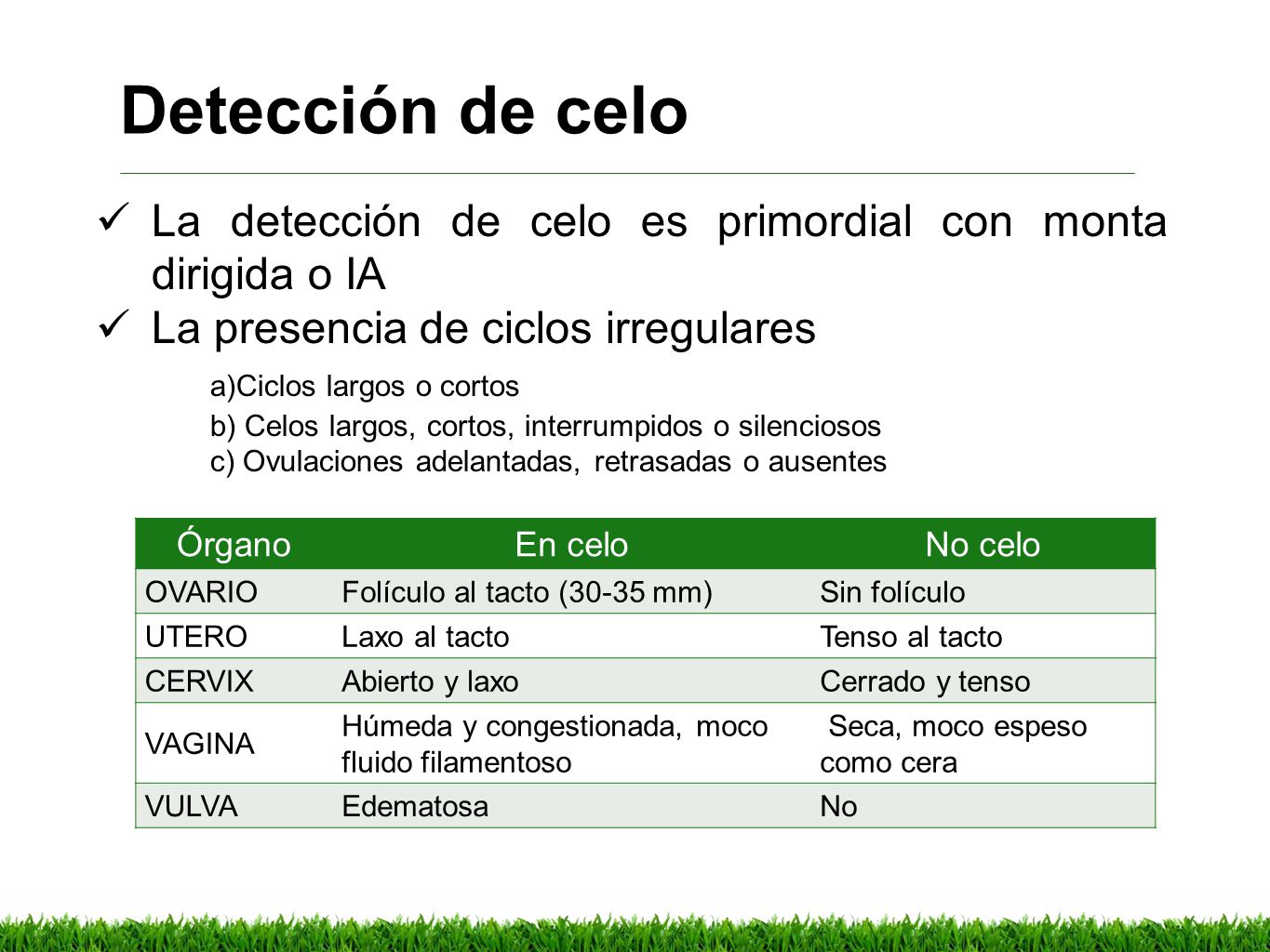 Detección de celo La detección de celo es primordial con monta dirigida o IA. La presencia de ciclos irregulares.