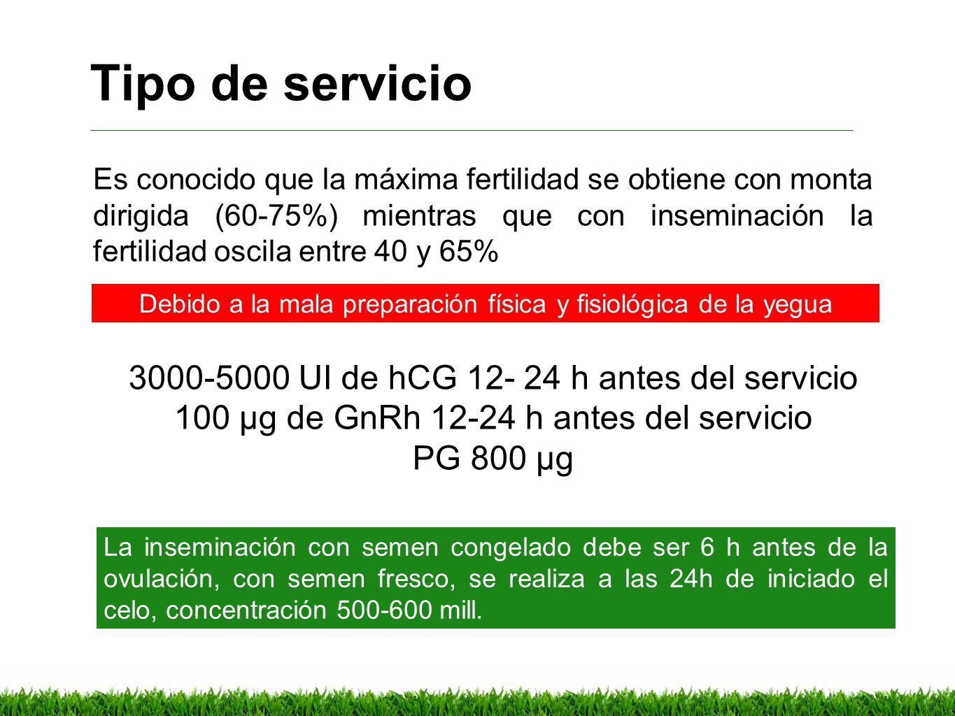 Tipo de servicio UI de hCG h antes del servicio