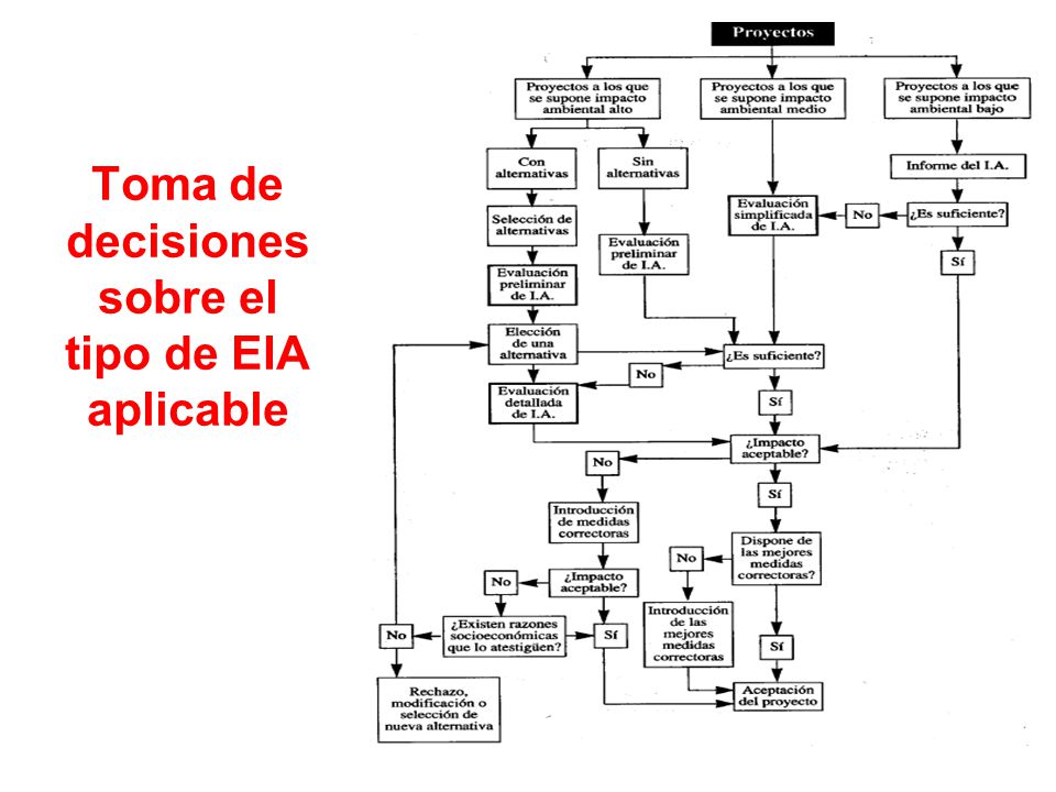 Toma de decisiones sobre el tipo de EIA aplicable