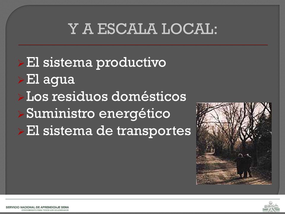 Y A ESCALA LOCAL: El sistema productivo El agua
