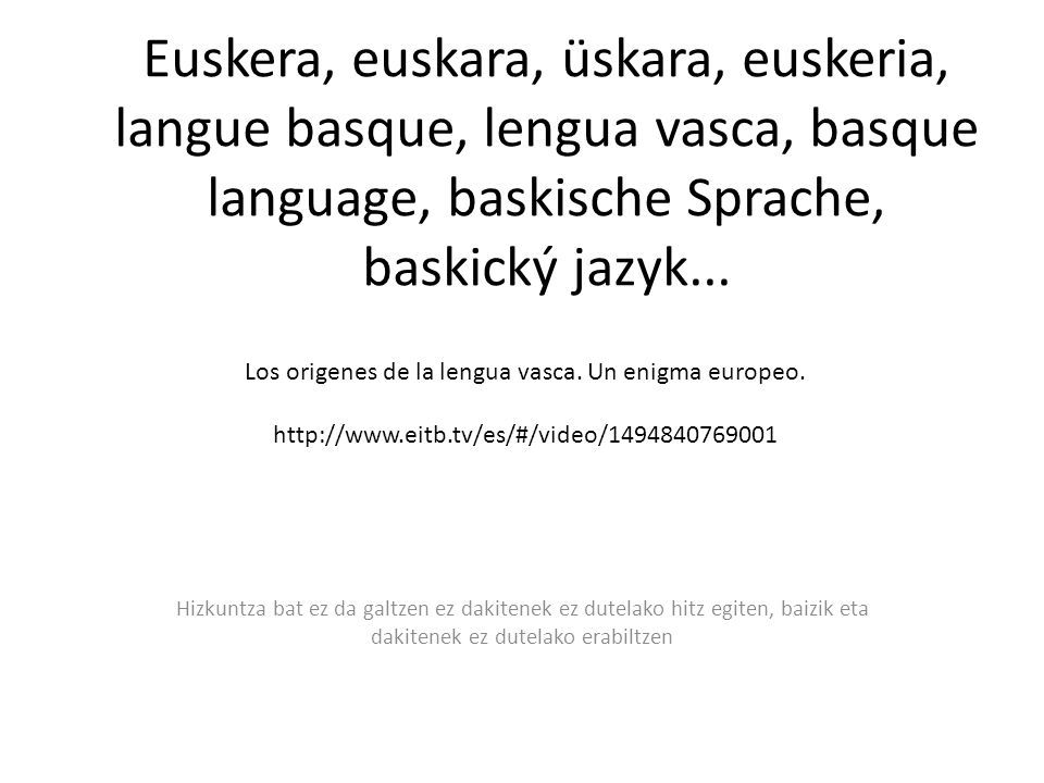 Los origenes de la lengua vasca. Un enigma europeo.
