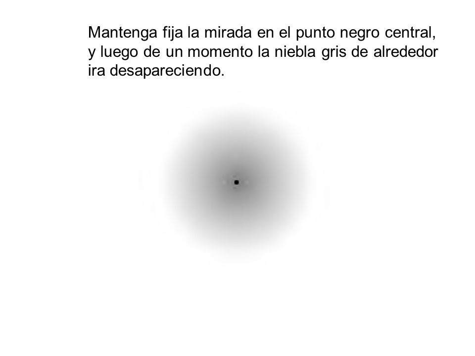 Mantenga fija la mirada en el punto negro central, y luego de un momento la niebla gris de alrededor ira desapareciendo.
