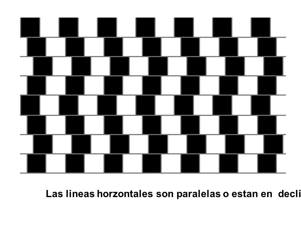 Las lineas horzontales son paralelas o estan en declive