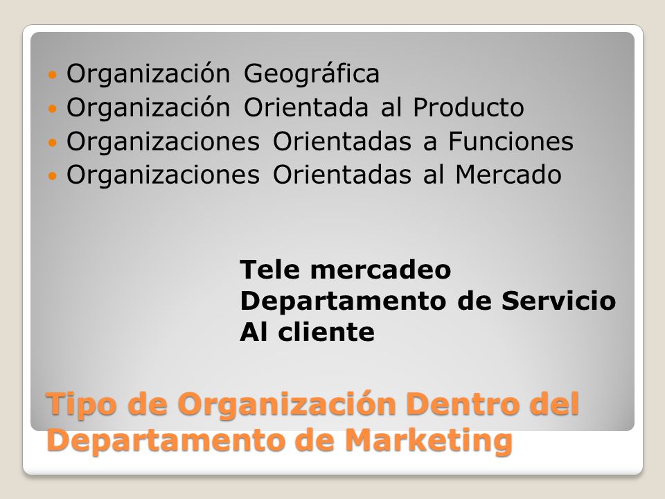 Tipo de Organización Dentro del Departamento de Marketing