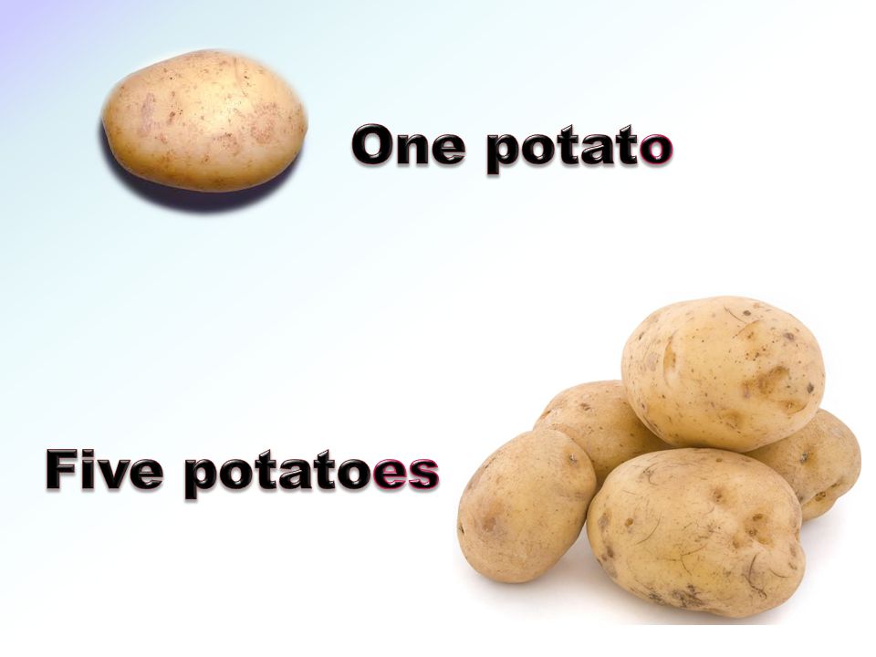 One potato Five potatoes