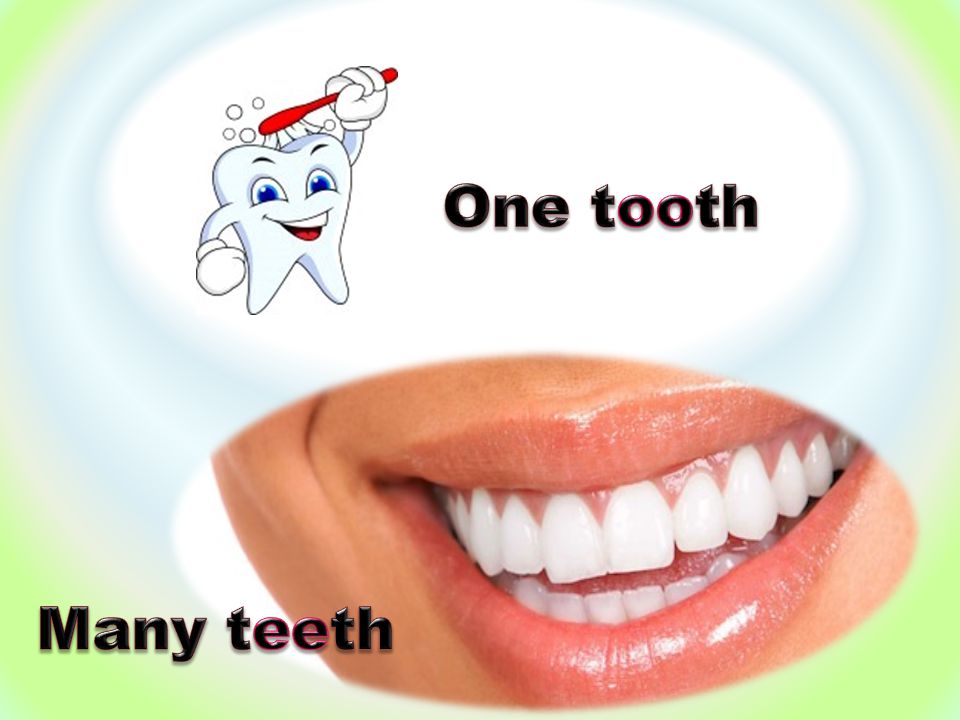 One tooth Many teeth