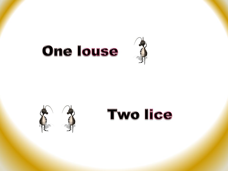 One louse Two lice