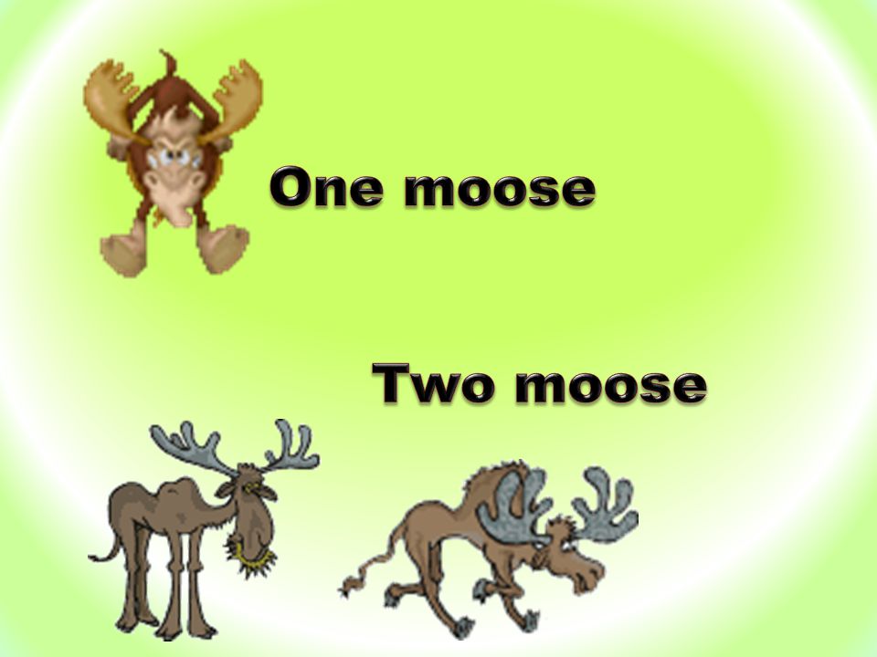 One moose Two moose