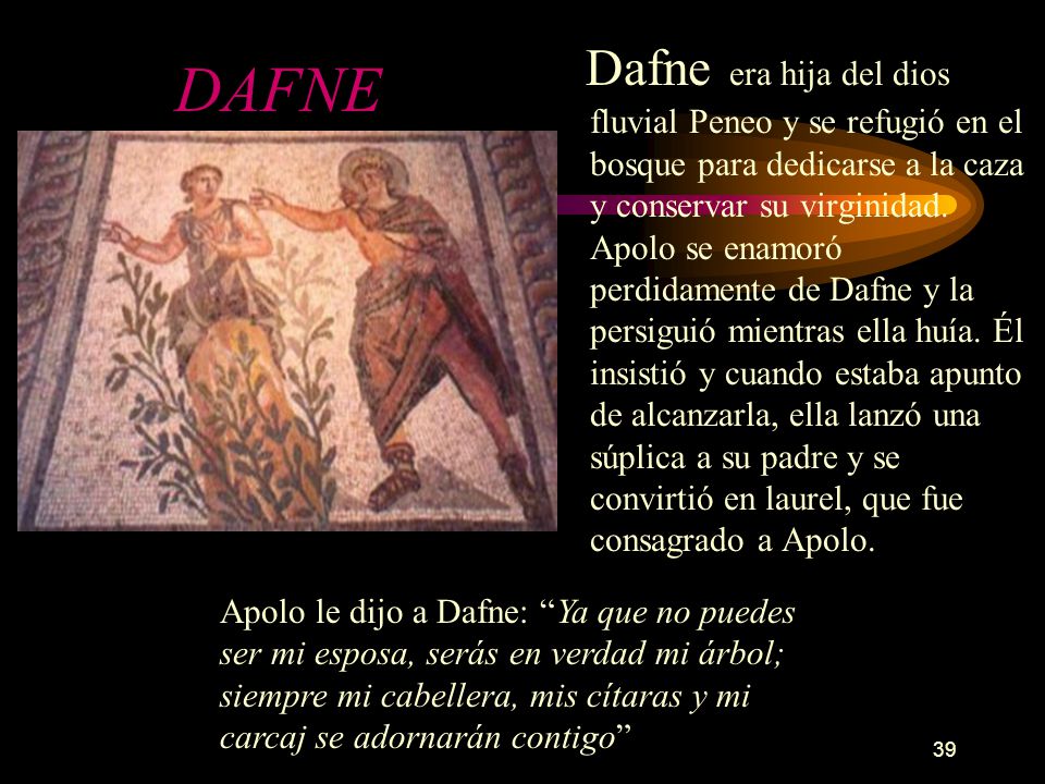 Dafne era hija del dios fluvial Peneo y se refugió en el bosque para dedicarse a la caza y conservar su virginidad. Apolo se enamoró perdidamente de Dafne y la persiguió mientras ella huía. Él insistió y cuando estaba apunto de alcanzarla, ella lanzó una súplica a su padre y se convirtió en laurel, que fue consagrado a Apolo.