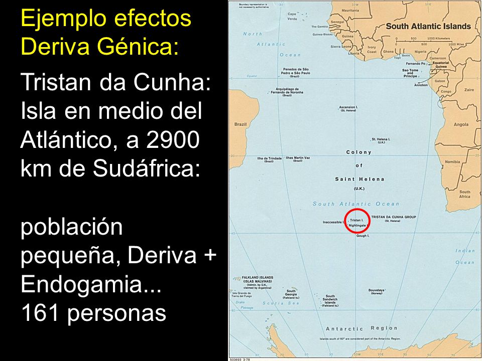 Ejemplo efectos Deriva Génica: