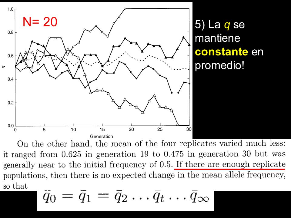 N= 20 5) La q se mantiene constante en promedio!