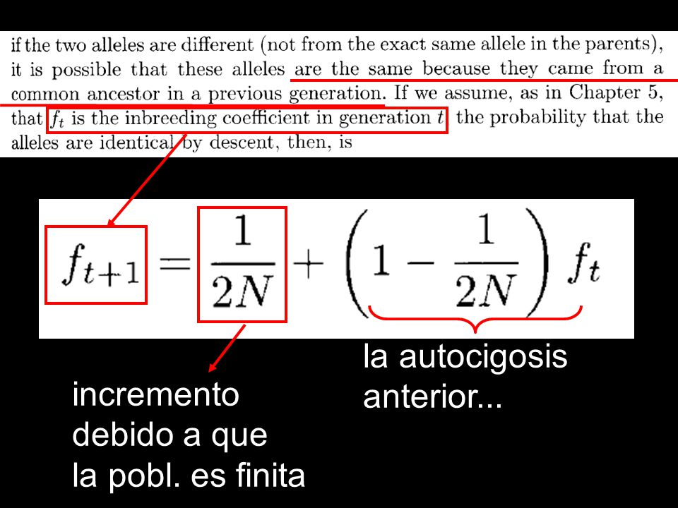 la autocigosis anterior... incremento debido a que la pobl. es finita