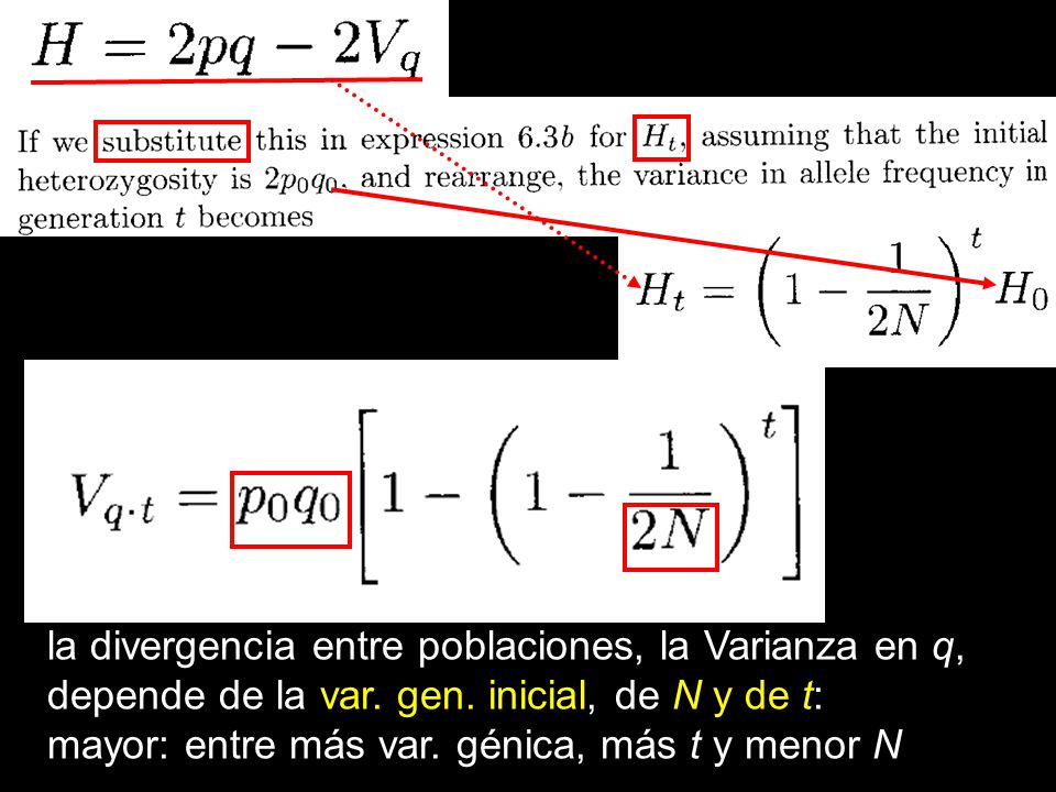 la divergencia entre poblaciones, la Varianza en q, depende de la var