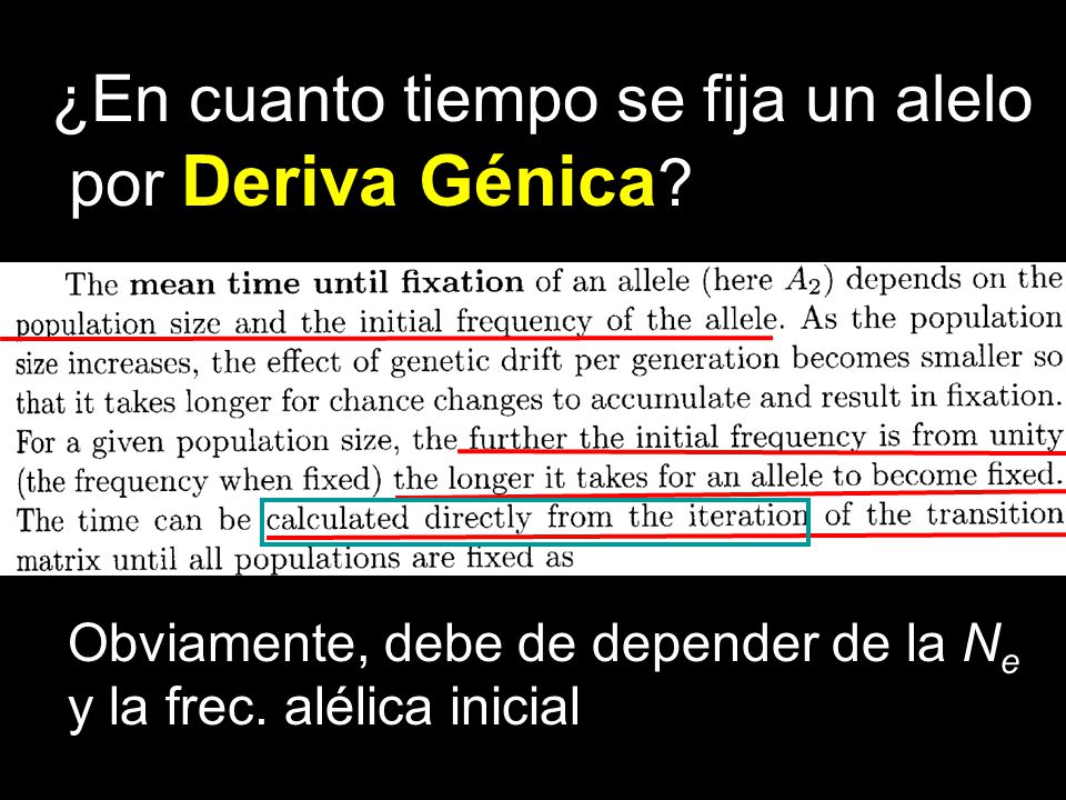¿En cuanto tiempo se fija un alelo por Deriva Génica