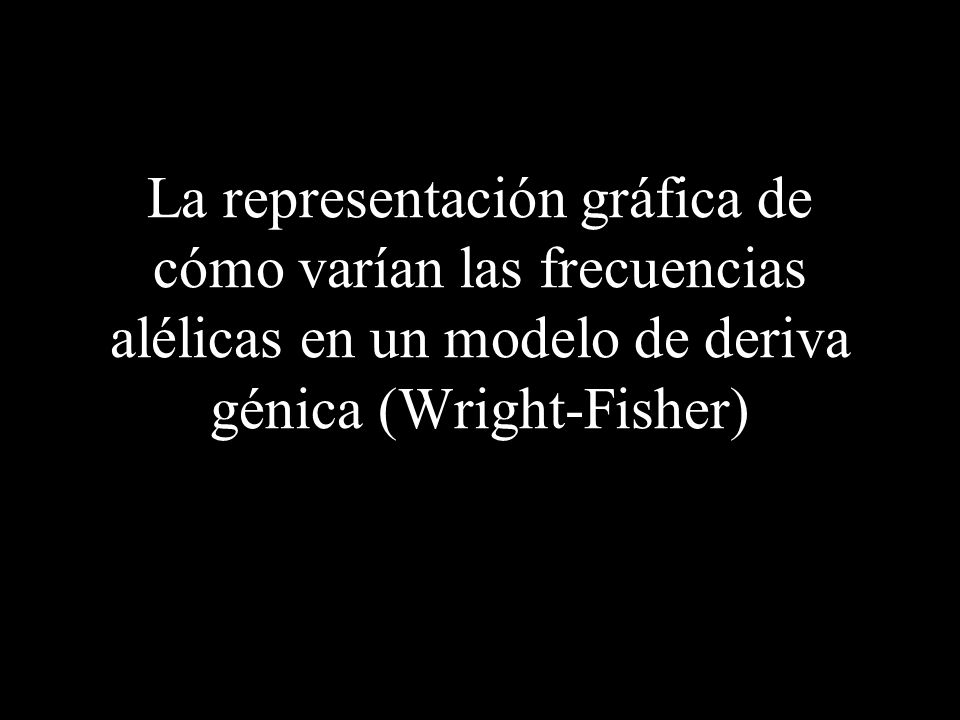 La representación gráfica de cómo varían las frecuencias alélicas en un modelo de deriva génica (Wright-Fisher)