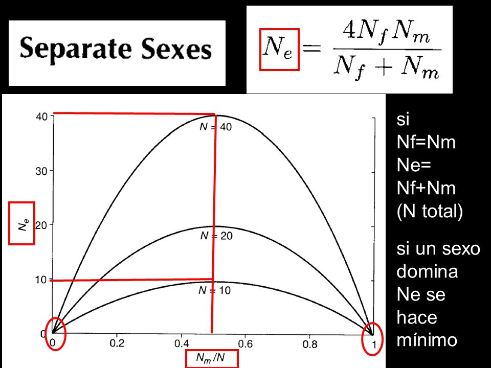 si Nf=Nm Ne= Nf+Nm (N total) si un sexo domina Ne se hace mínimo