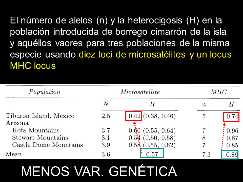 El número de alelos (n) y la heterocigosis (H) en la población introducida de borrego cimarrón de la isla y aquéllos vaores para tres poblaciones de la misma especie usando diez loci de microsatélites y un locus MHC locus
