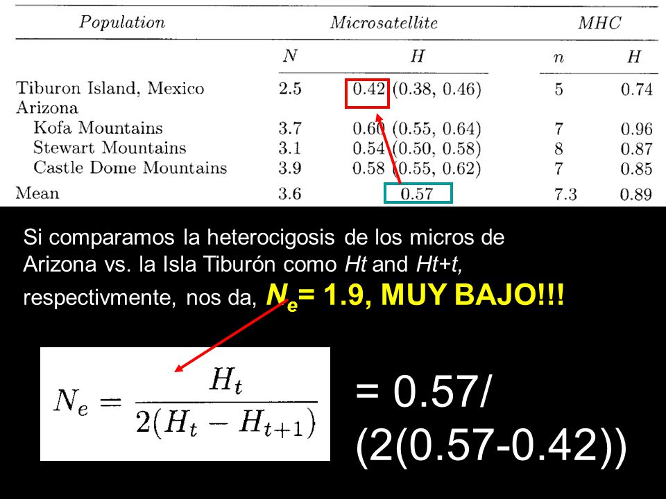 = 0.57/ (2( )) Si comparamos la heterocigosis de los micros de