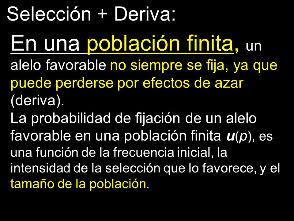 Selección + Deriva: En una población finita, un alelo favorable no siempre se fija, ya que puede perderse por efectos de azar (deriva).