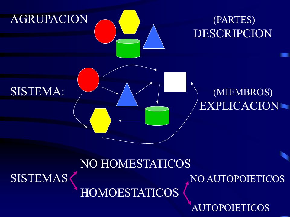 AGRUPACION (PARTES) DESCRIPCION. SISTEMA: (MIEMBROS) EXPLICACION. NO HOMESTATICOS. SISTEMAS NO AUTOPOIETICOS.