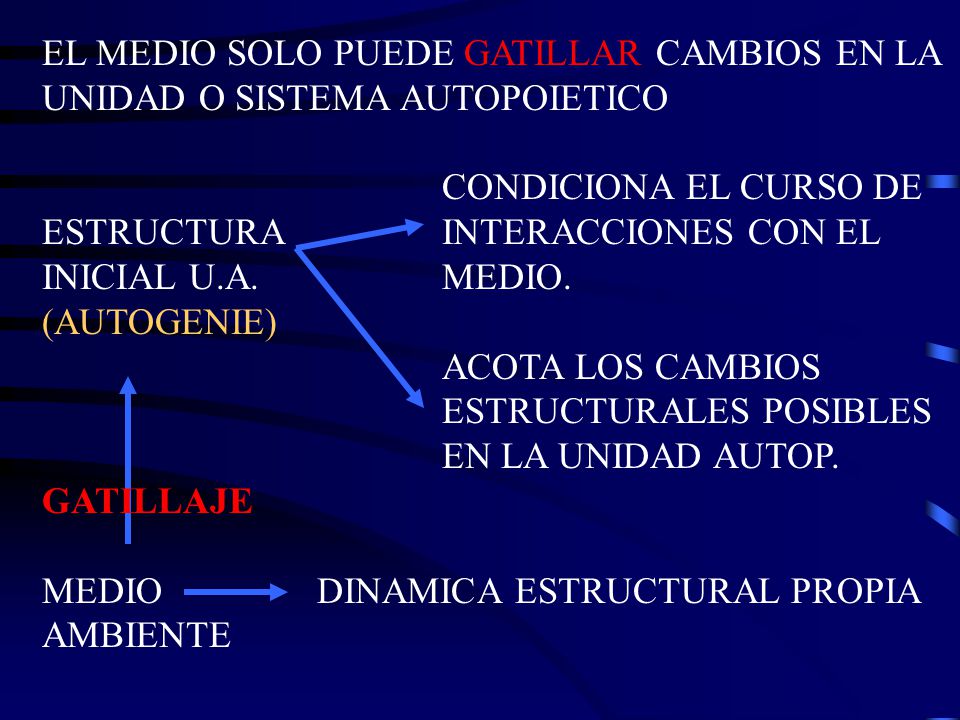 EL MEDIO SOLO PUEDE GATILLAR CAMBIOS EN LA UNIDAD O SISTEMA AUTOPOIETICO CONDICIONA EL CURSO DE ESTRUCTURA INTERACCIONES CON EL INICIAL U.A. MEDIO.