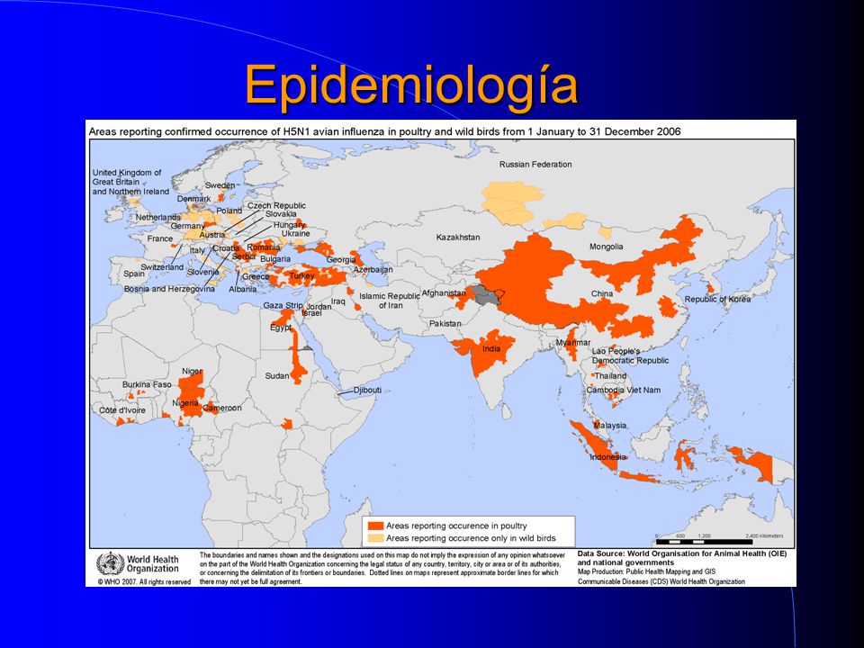 Epidemiología
