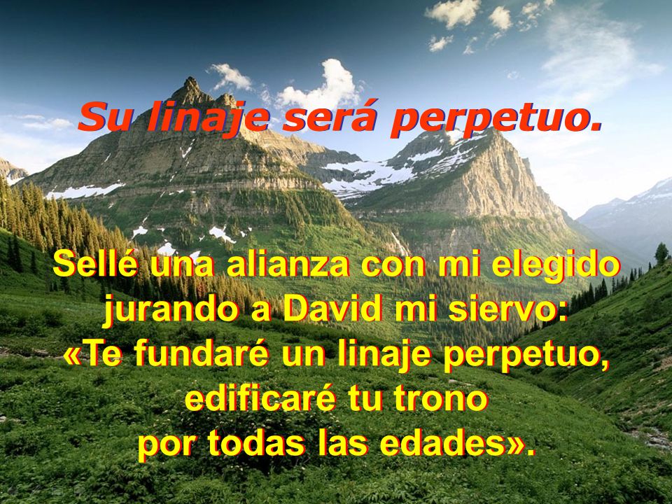 Sellé una alianza con mi elegido jurando a David mi siervo: